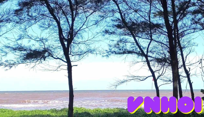 Bai Bien Hai Chinh Video - Nam Định
