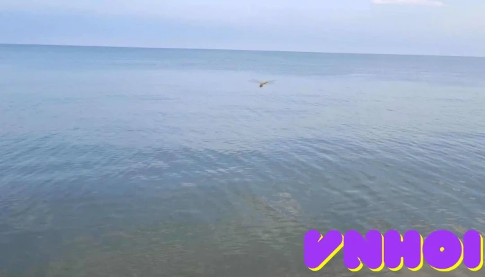 Bai Bien Quat Lam Video - Nam Định