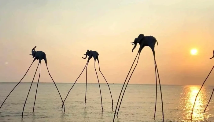 Bai Bien Sunset Sanato Video - Kiên Giang