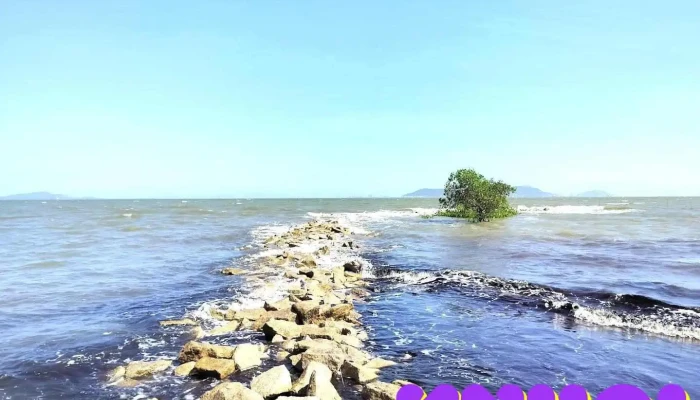 Bãi Biển Công Viên Cần Giờ - Hồ Chí Minh