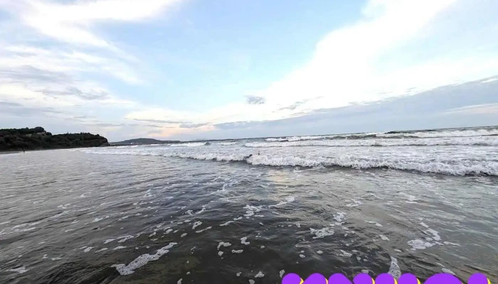 Bãi Biển Đông Hồi - Nghệ An