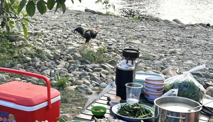 Bai Cam Trai Hoang Da Dan Hy Thuc Pham Va Do Uong - Bình Thuận