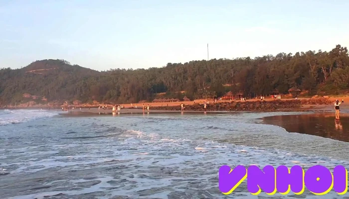 Bai Dong   Dao Nghi Son Bai Bien - Thanh Hóa