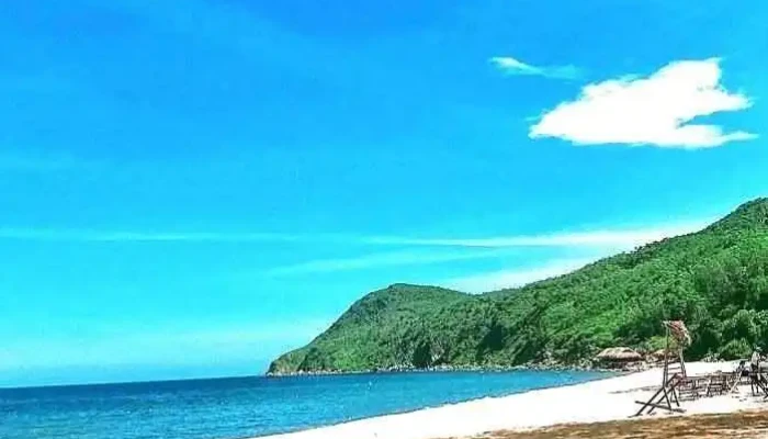 Bai Dong   Dao Nghi Son Tat Ca - Thanh Hóa