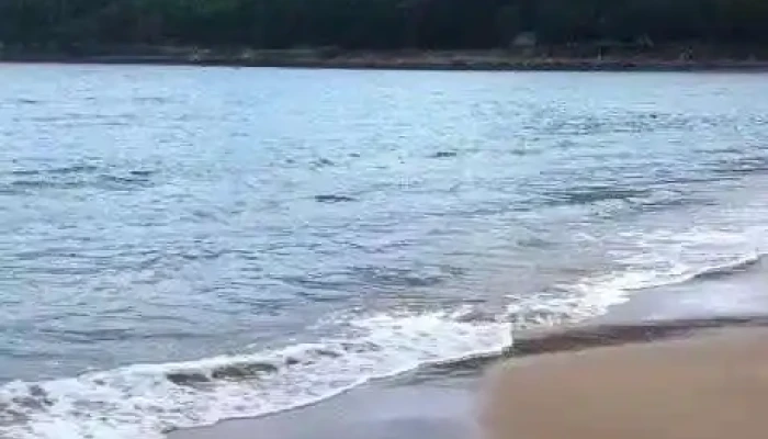 Bai Lu Video - Nghệ An