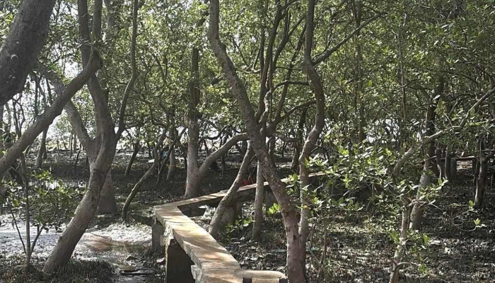 Bai Ngheu Rach Bun Moi Nhat - Tiền Giang