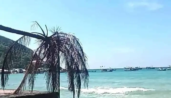Bai Ngu Video - Kiên Giang
