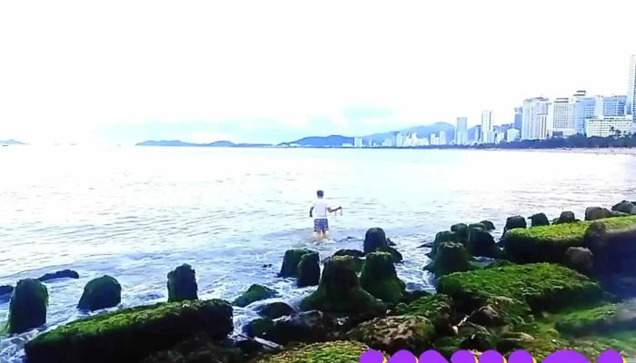 Bai Reu Nha Trang Video - Khánh Hòa