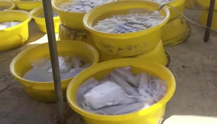 Bai Tam Bien Dep Mui Ne Moi Nhat - Bình Thuận