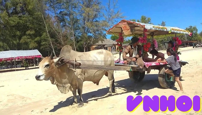 Bai Tam Cam Binh Video - Bình Thuận