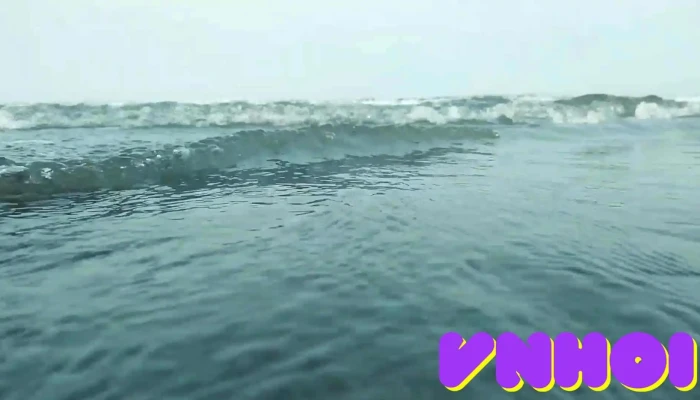 Bai Tam Quynh Bang Video - Nghệ An
