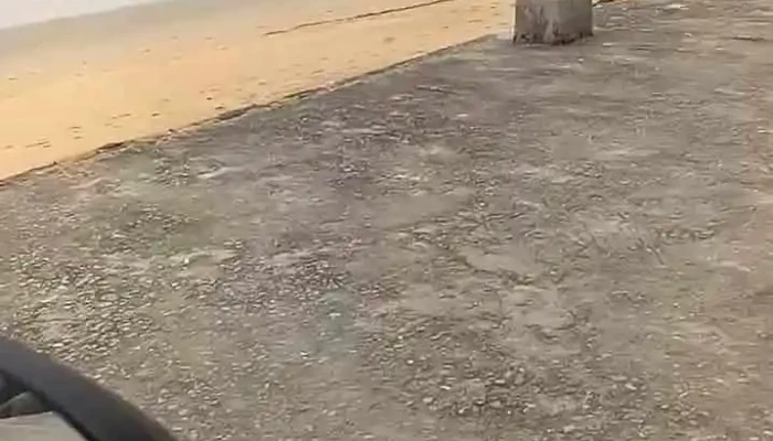 Bai Tam Quynh Phuong Video - Nghệ An