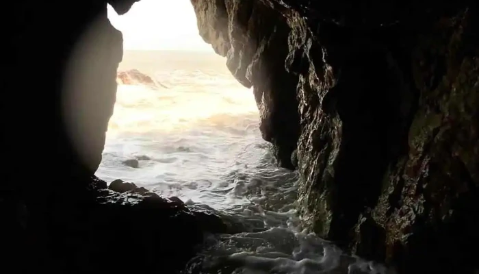 Bai Tam Quynh Tien Video - Nghệ An