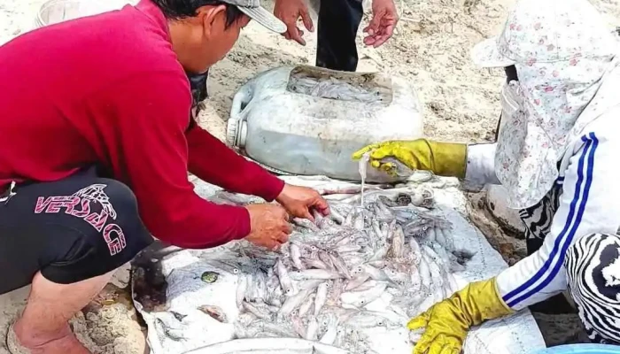 Bai Tam Tan Hai Cat - Bình Thuận
