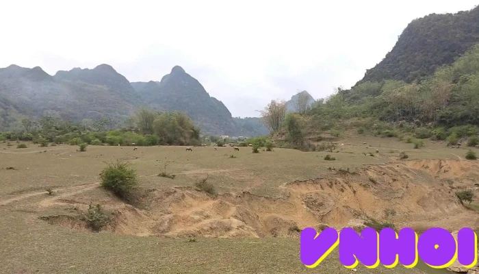 Bai Tinh Moi Nhat - Cao Bằng