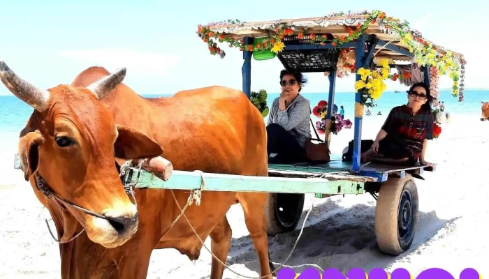 Bãi Tắm Cam Bình - Bình Thuận