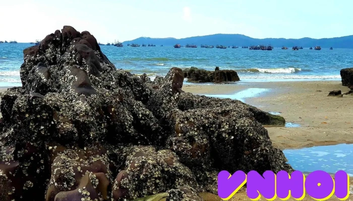 Bãi Đá Đen - Mũi Ngọc - Trà Cổ - Quảng Ninh - Bình Ngọc