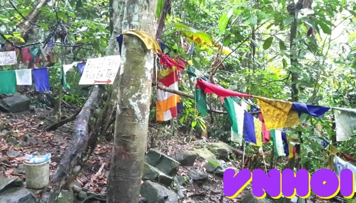 Ban Co Tien Video - Vĩnh Phúc