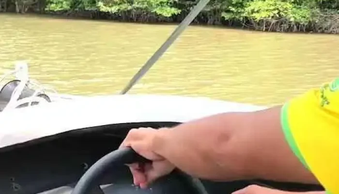 Ban Quan Ly Rung Phong Ho Can Gio Video - Hồ Chí Minh