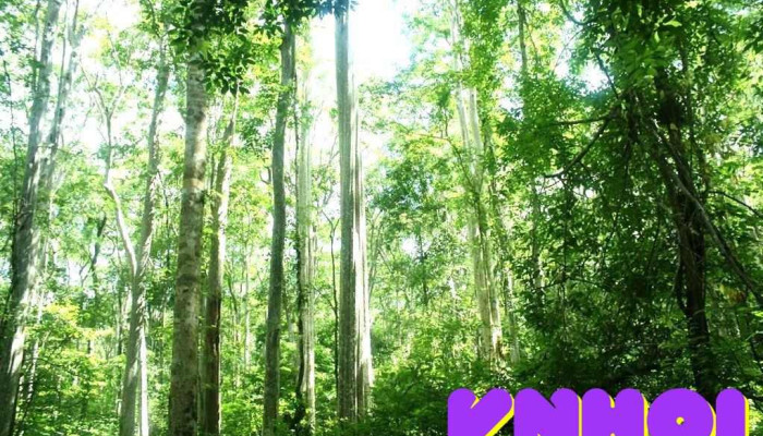 Ban quản lý Vườn Quốc Gia Bù Gia Mập - Bình Phước
