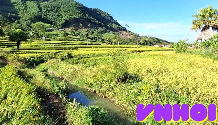 Ban Ten   Ruong Bac Thang Hoa Tam Giac Mach Video - Thái Nguyên