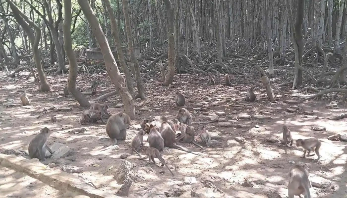 Bao Tang Rung Sac Moi Nhat - Hồ Chí Minh