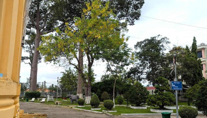 Bao Tang Tinh Ben Tre Moi Nhat - Bến Tre