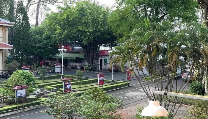 Bao Tang Tinh Vinh Long Video - Vĩnh Long