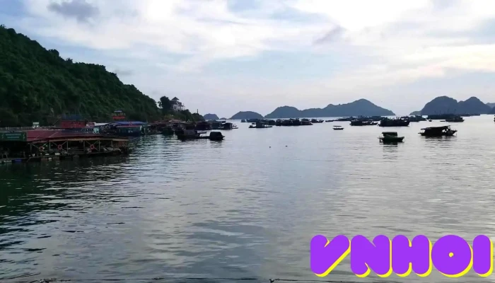 Ben Tau Cat Ba Ho - Hải Phòng