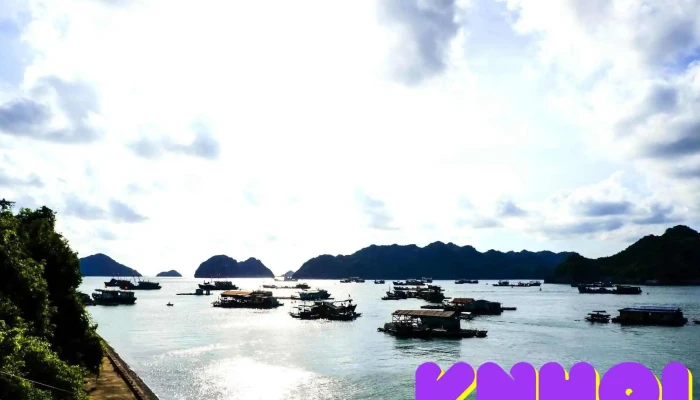 Ben Tau Cat Ba Tat Ca - Hải Phòng