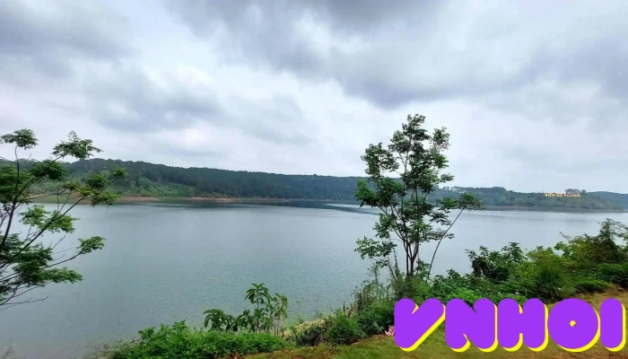 Biển Hồ chè - Nghĩa Hưng
