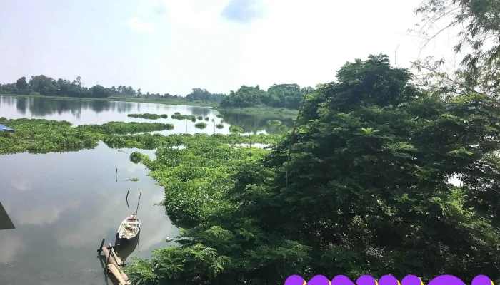 Bung Binh Thien Lon Tat Ca - An Giang