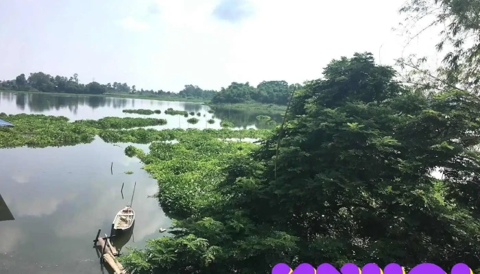 Búng Bình Thiên Lớn - An Giang