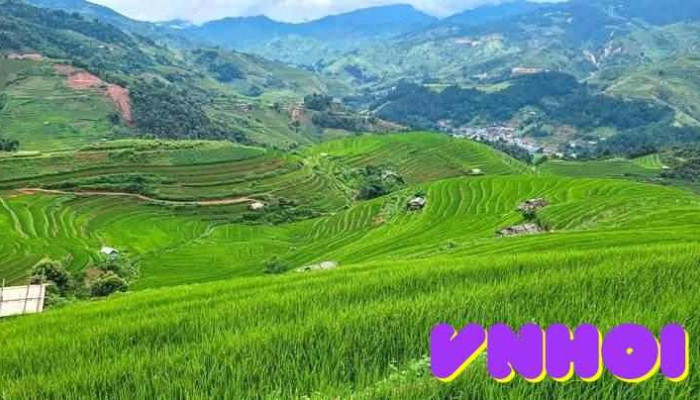 Bản Tèn - Ruộng bậc thang hoa Tam giác mạch - Thái Nguyên