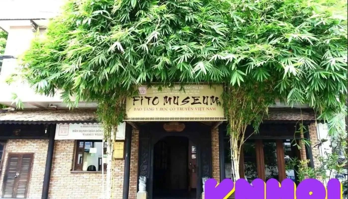 Bảo tàng Y học Cổ truyền Việt Nam - Phường 12