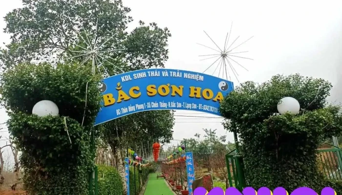 Bắc Sơn Hoa - Lạng Sơn