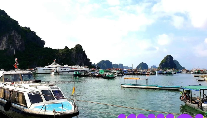 Bến Cái Rồng - Tt. Cái Rồng