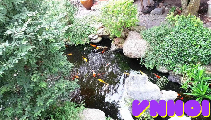 Ca Phe Nha Xua Video - Bình Phước