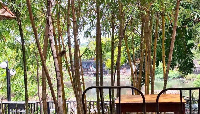 Ca Phe Pho Da Moi Nhat - Bình Thuận