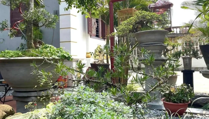 Cà phê sân vườn hưng yên - Tiên Lữ