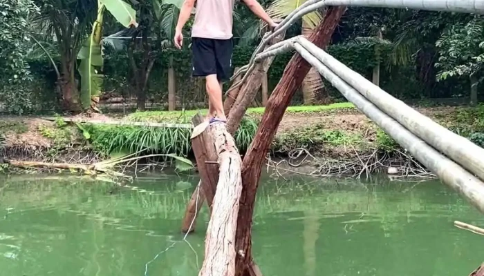 Ca Rot Homestay Tien Giang Video - Tiền Giang