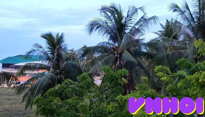 Ca Ty Mui Ne Beach Resort Spa Moi Nhat - Bình Thuận
