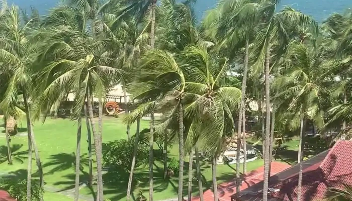 Ca Ty Mui Ne Beach Resort Spa Video - Bình Thuận
