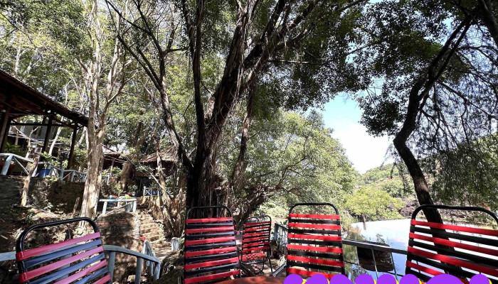 Cafe Thuong Nguon Tat Ca - Bình Phước