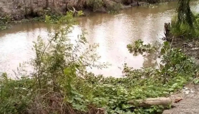 Cai Lậy - Tiền Giang