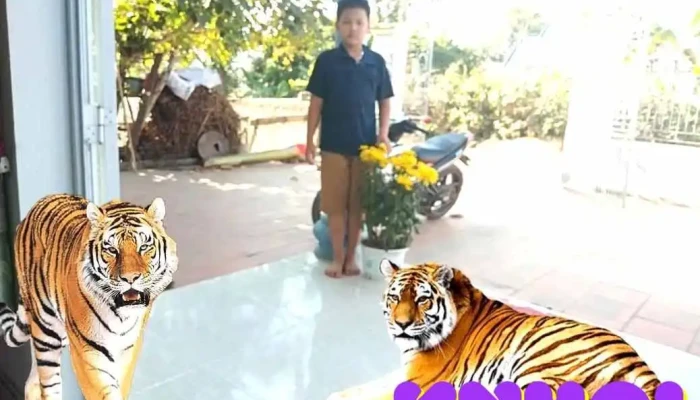 Cam Tan Tat Ca - Thanh Hóa