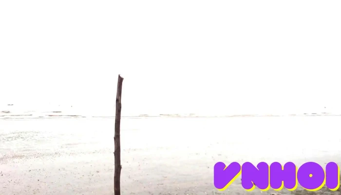 Camping Eco Beach Can Gio Video - Hồ Chí Minh