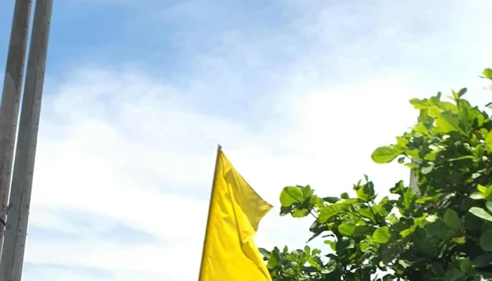 Cang Ca Lagi Moi Nhat - Bình Thuận