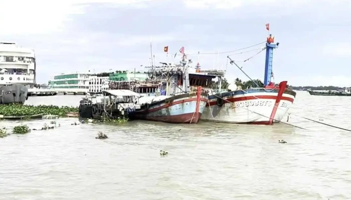 Cang Du Thuyen My Tho Video - Tiền Giang