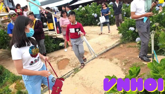 Canh Dong Hoa Cam Tu Cau Vuon - Lâm Đồng
